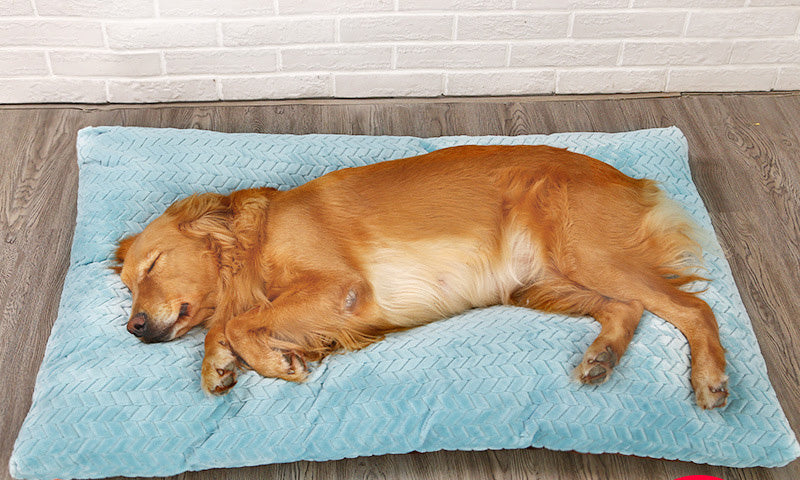 Long Warm Dog Plush Bed