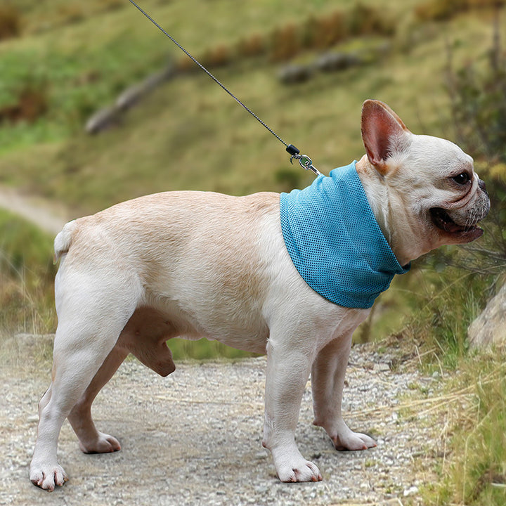 Cooling Pet Bandana – Stay Cool All Summer