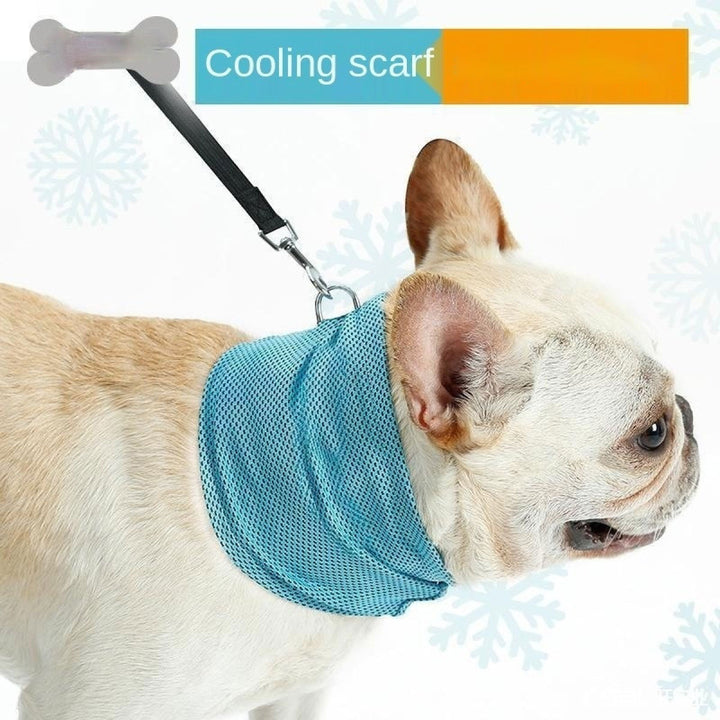 Cooling Pet Bandana – Stay Cool All Summer