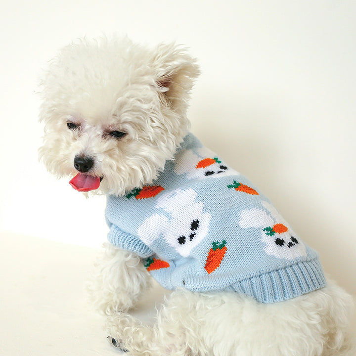 Chic Red Checkered Knit Sweater for Stylish Pets