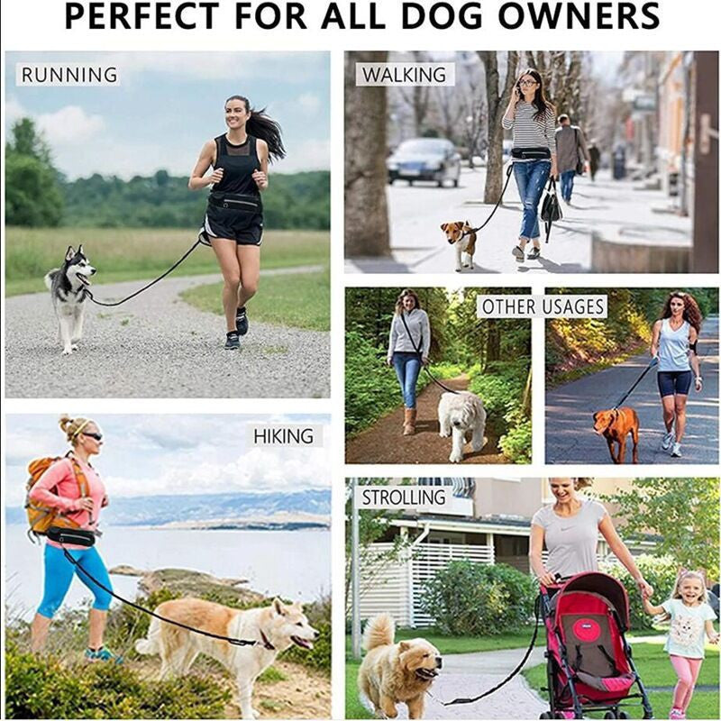 Hands-Free Running Dog Leash