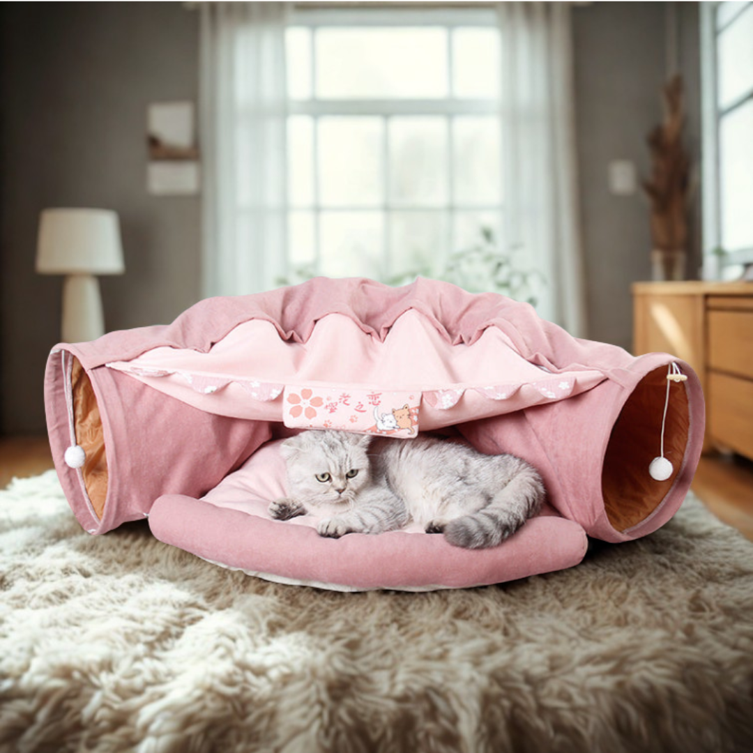 Collapsible Cat Tunnel Bed – Hide, Pounce, Nap in Style