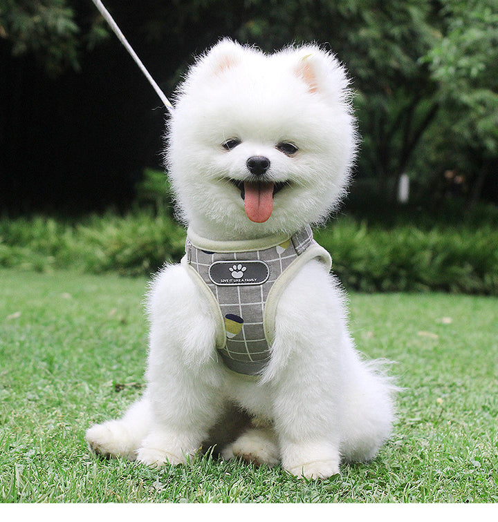 Breathable Dog Harness & Leash Set – Lightweight Comfort