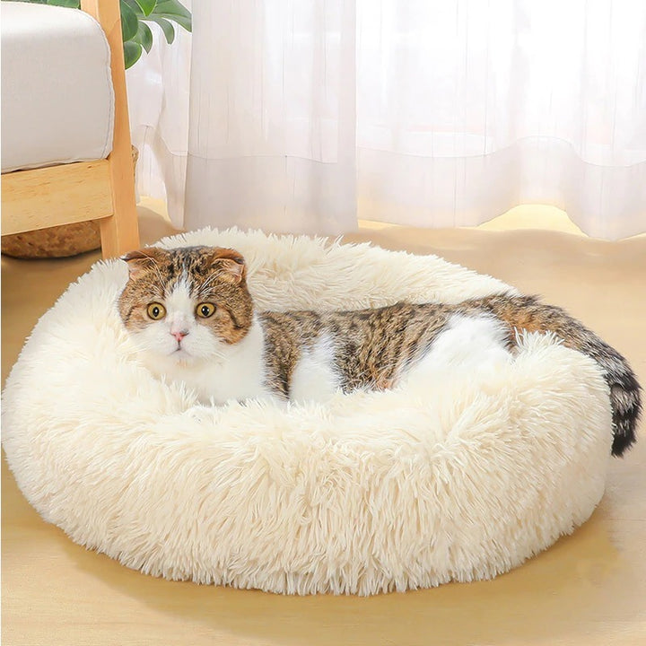Plush Dog Bed: Washable Velvet Pet Sofa