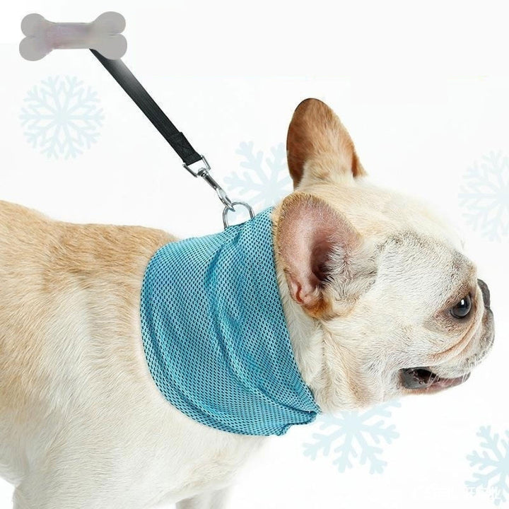 Cooling Pet Bandana – Stay Cool All Summer
