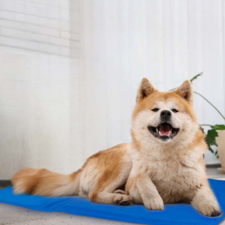 Pressure-Activated Dog Cooling Mat: No Water, Non-Toxic Comfort