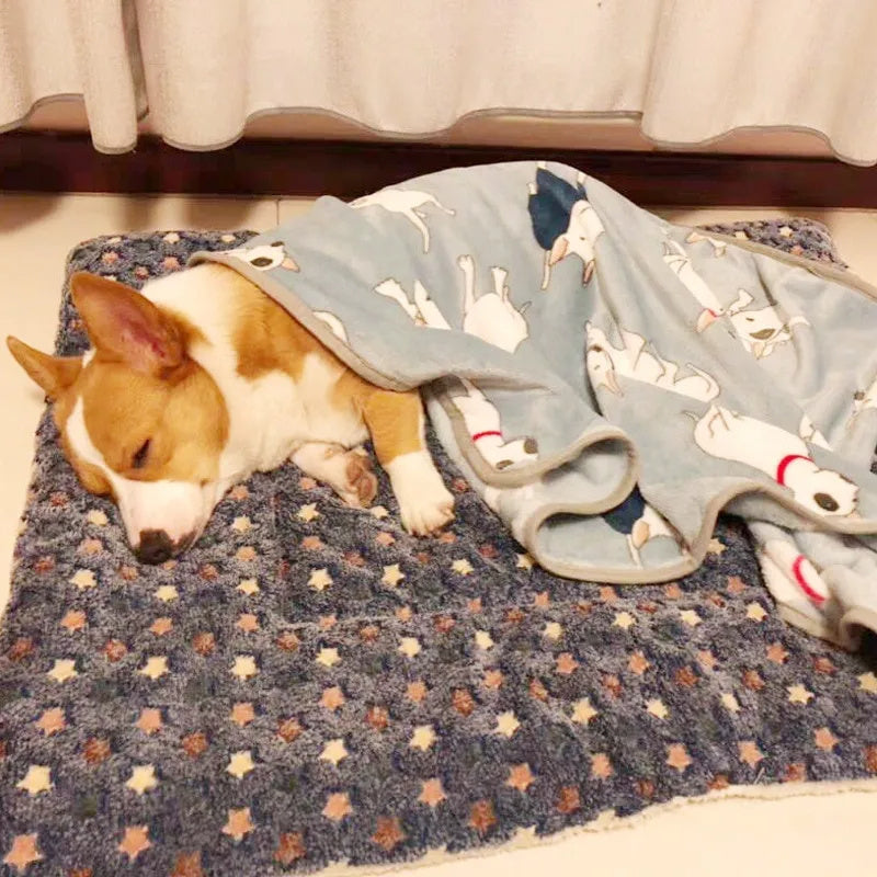 Ultra-Soft Reversible Pet Bed Mat – Washable Comfort