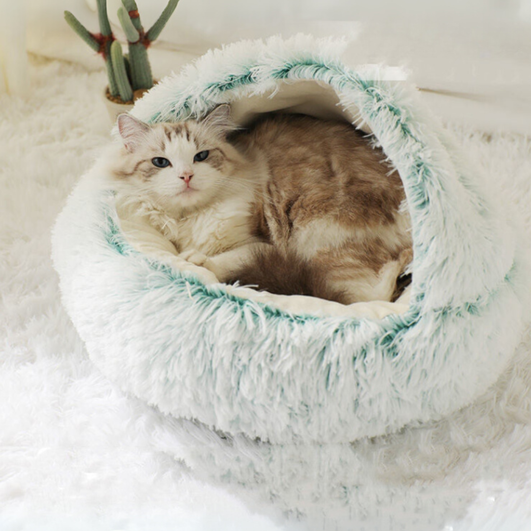 2-in-1 Plush Pet Bed – Cozy, Warm & Soft